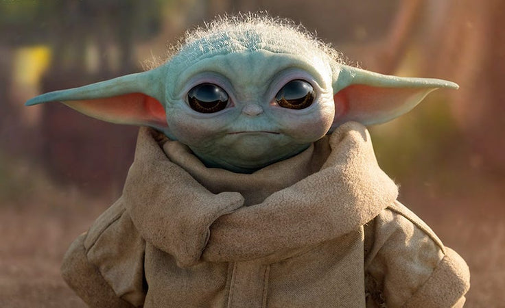 Baby Yoda - A Meme For the Whole Family